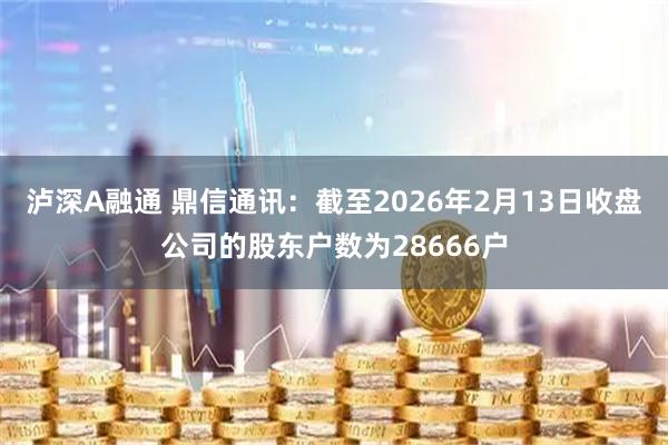 泸深A融通 鼎信通讯：截至2026年2月13日收盘公司的股东户数为28666户