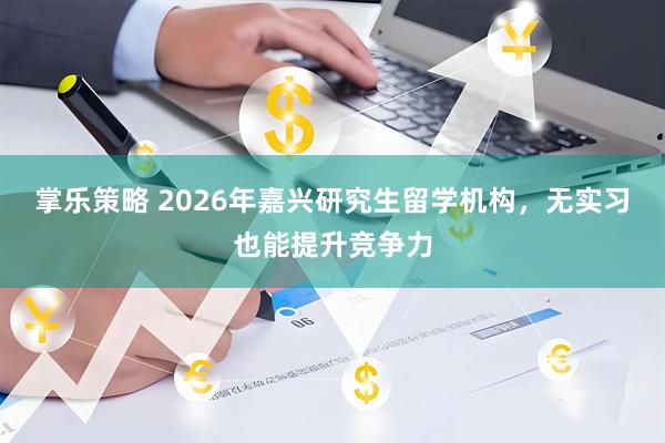 掌乐策略 2026年嘉兴研究生留学机构，无实习也能提升竞争力
