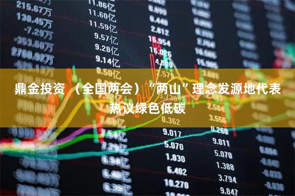 鼎金投资 （全国两会）“两山”理念发源地代表热议绿色低碳