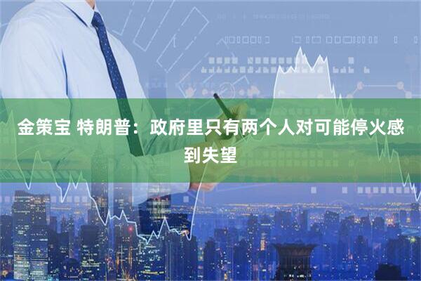 金策宝 特朗普：政府里只有两个人对可能停火感到失望