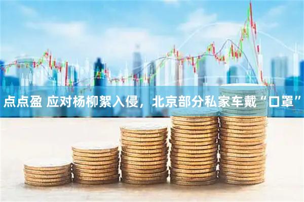点点盈 应对杨柳絮入侵，北京部分私家车戴“口罩”