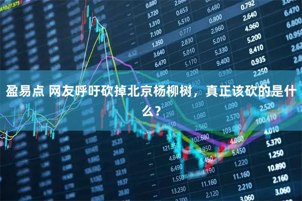 盈易点 网友呼吁砍掉北京杨柳树，真正该砍的是什么？
