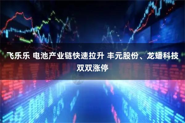 飞乐乐 电池产业链快速拉升 丰元股份、龙蟠科技双双涨停