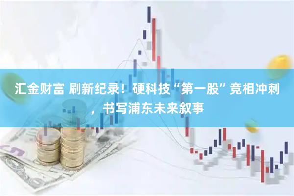 汇金财富 刷新纪录！硬科技“第一股”竞相冲刺，书写浦东未来叙事