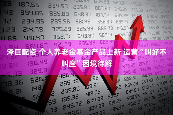 泽巨配资 个人养老金基金产品上新 运营“叫好不叫座”困境待解