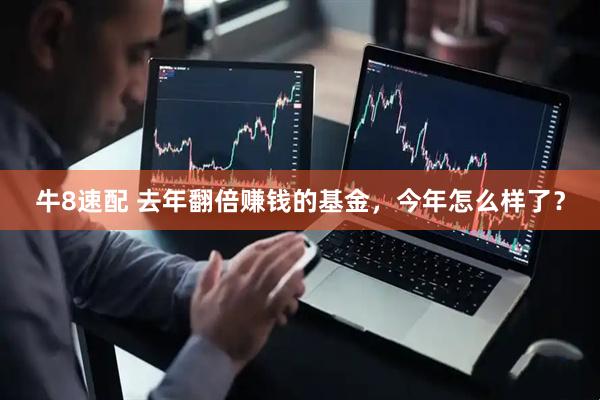 牛8速配 去年翻倍赚钱的基金，今年怎么样了？