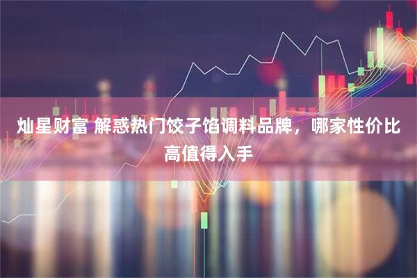 灿星财富 解惑热门饺子馅调料品牌,哪家性价比高值得入手