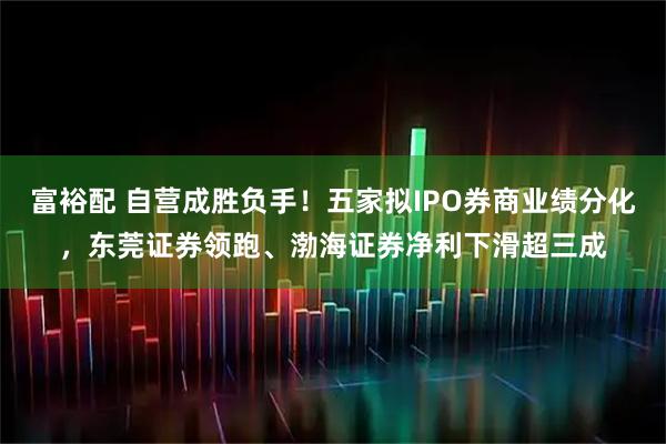 富裕配 自营成胜负手！五家拟IPO券商业绩分化，东莞证券领跑、渤海证券净利下滑超三成