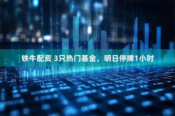 铁牛配资 3只热门基金，明日停牌1小时