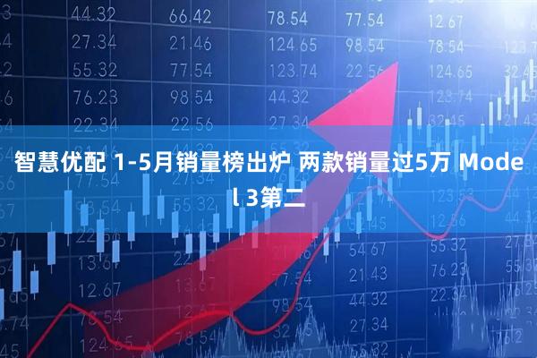 智慧优配 1-5月销量榜出炉 两款销量过5万 Model 3第二