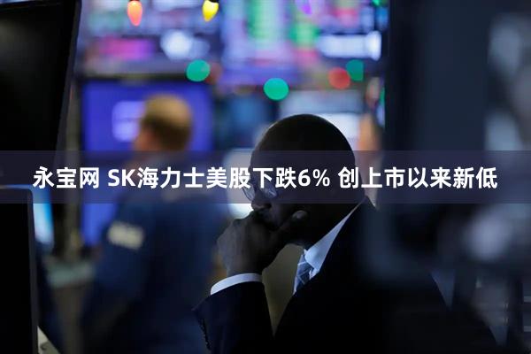 永宝网 SK海力士美股下跌6% 创上市以来新低