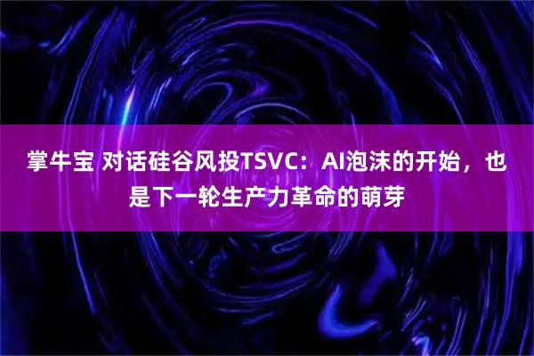 掌牛宝 对话硅谷风投TSVC：AI泡沫的开始，也是下一轮生产力革命的萌芽