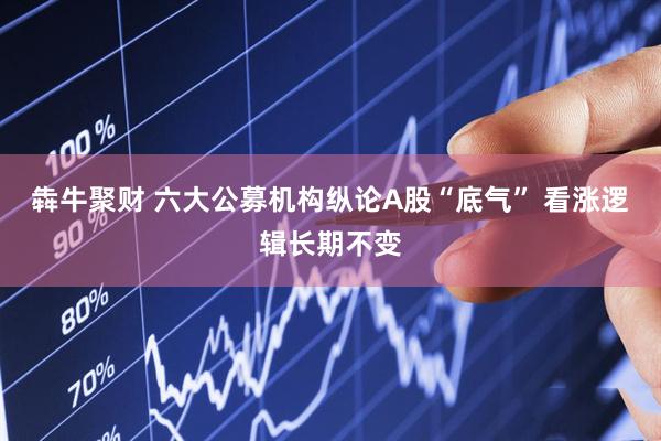 犇牛聚财 六大公募机构纵论A股“底气” 看涨逻辑长期不变