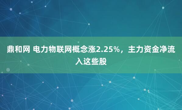 鼎和网 电力物联网概念涨2.25%，主力资金净流入这些股