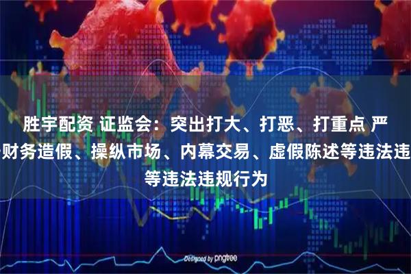 胜宇配资 证监会：突出打大、打恶、打重点 严厉打击财务造假、操纵市场、内幕交易、虚假陈述等违法违规行为