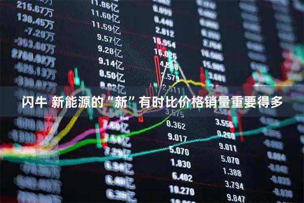 闪牛 新能源的“新”有时比价格销量重要得多