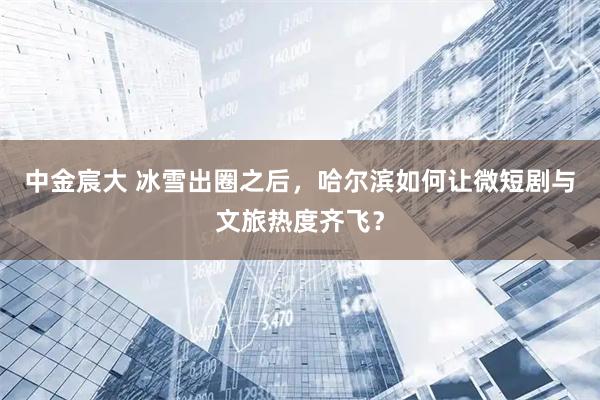 中金宸大 冰雪出圈之后，哈尔滨如何让微短剧与文旅热度齐飞？