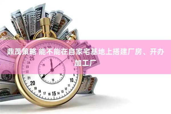 鼎茂策略 能不能在自家宅基地上搭建厂房、开办加工厂